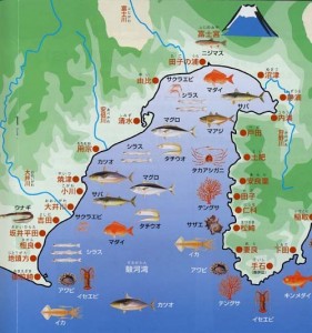 駿河湾図